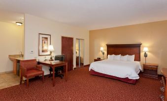 Hampton Inn & Suites McComb