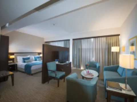Radisson Blu Hotel, Ankara Hotels in Ankara