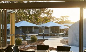 Discovery Resorts - Rottnest Island