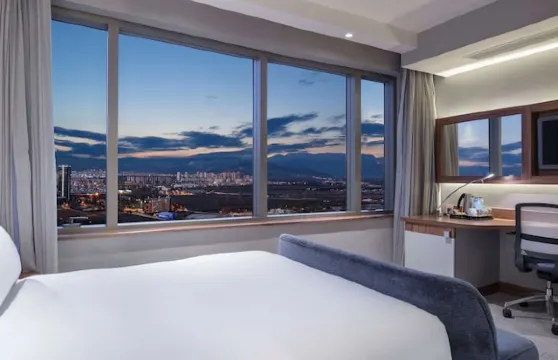 布爾薩歡朋酒店