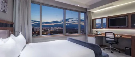 Hampton by Hilton Bursa Отели в г. Demirtas Dumlupinar Osb