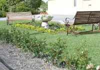 SureStay Hotel by Best Western the Clarence on Melville Hotels in Albany
