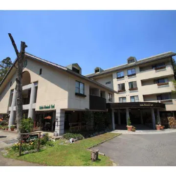 Hakuba Mominoki Hotel Отели в г. Хакуба
