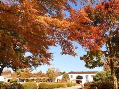 庭 箱根レイクホテルの写真