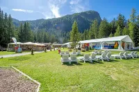 Hotel Bellevue - Pet friendly