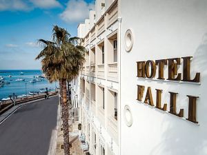 Hotel Falli