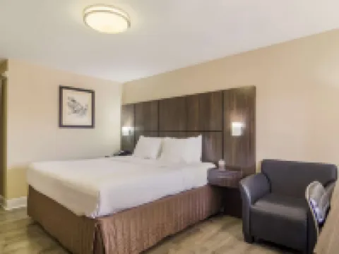 Best Western Bayfront Hotels in St. Augustine