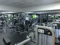 Best Western Plus Airport Hotel Copenhagen - Gym
