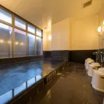 Grand Park Hotel Odate - Hot Springs