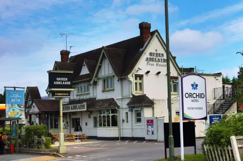Orchid Epsom, Sure Hotel Collection by Best Western Hotels in Epsom