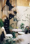 Shila Athens - صديق للحيوانات الاليفة