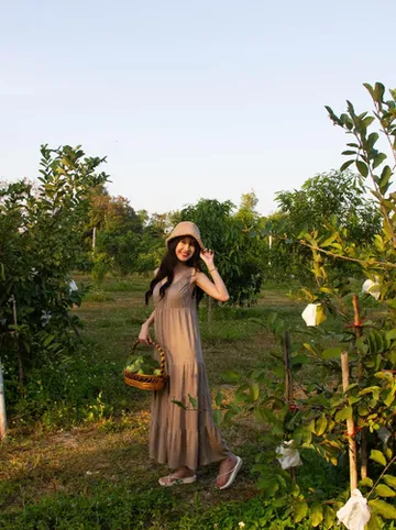 รูปภาพของบ้านสวนมะม่วงรีสอร์ท