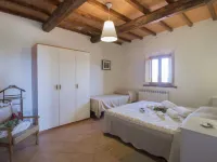 Contadino