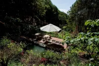 Mo Stay - Forest Resort