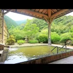 Tsurunoyu Onsen Hotels in Minabe