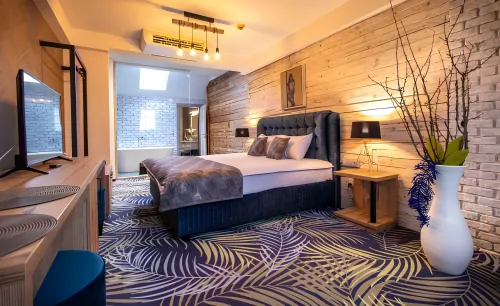 Art Hotel Hotels in Sibiu