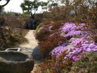 Damyang Songjukheung Pension Hotels in Damyang