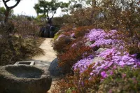 Damyang Songjukheung Pension