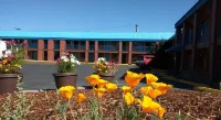 Motel West