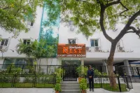 Marigold at Nest