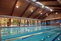 Hilton Anatole, Dallas