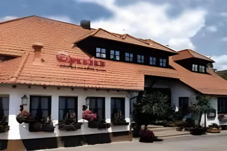 Hotel Speeter Отели в г. Бобенхайм-ам-Берг