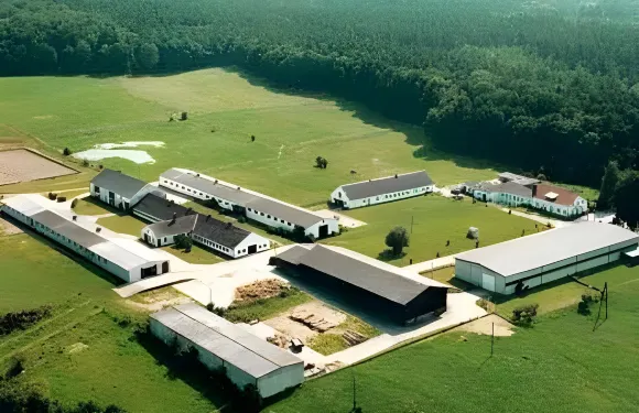 薩爾努夫好旅館