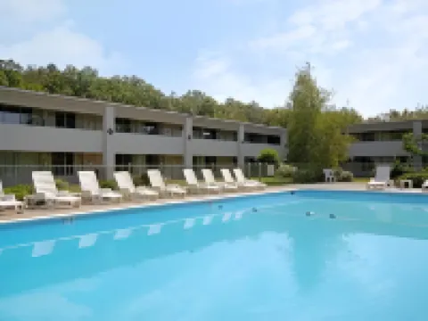 レッド カーペット イン ハズレトン