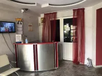 Apartment 1000 and One Night