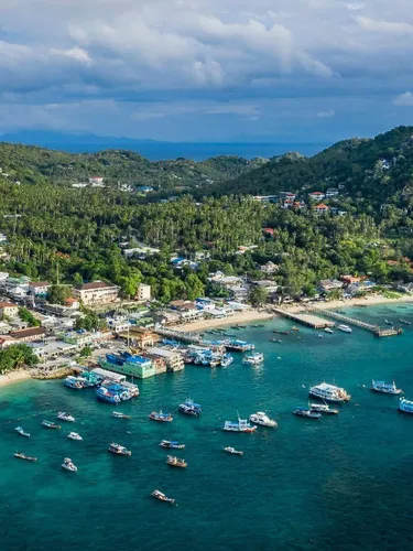 รูปภาพของลีฟวิง ชิล เกาะเต่า - โฮสเทล