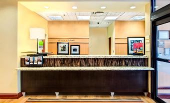 Hampton Inn & Suites Atlanta-Galleria