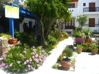 Dina Naxos Studios