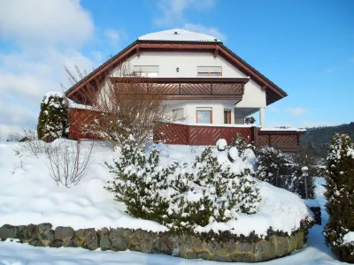 Ferienwohnung im Sauerland Mit Terrasse Und Kamin