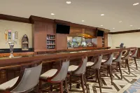 Hilton Jackson - bar
