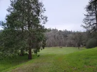 Perfect Getaway on a Beautiful Creek with Trails, Outdoor Bath/Shower, Near Town
