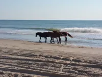 Outer Banks Family-sized Vacation Home 10-minute Walk from the Beach. カローラのホテル