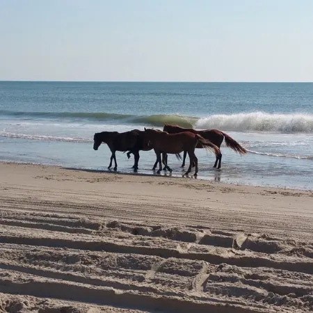 Outer Banks Family-sized Vacation Home 10-minute Walk from the Beach.