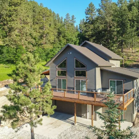 Lazy Dog Lodge, Hot Tub, AC & Activities Near Black Hills