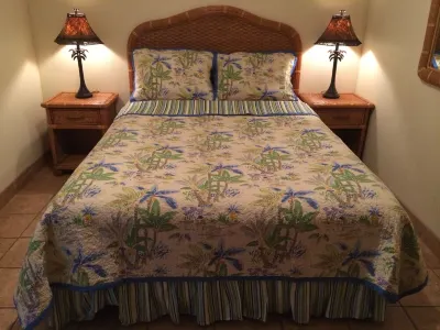 Aloha Hale Ocean View Maui Condo In Ocean Front/Beach Resort Swim with Turtles!