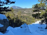 Luxury Cabin Backs Nat'l Forest– 5 Min to Rmnp Wild Basin: Hike, Fish, Wildlife!