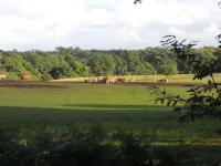 4-person house in the countryside, quiet, close to beaches Hotel a Ploneour-Lanvern