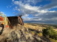 Lefty - Minutes from Pinon Hills Golf course, San Juan Quality Waters Hotels in San Juan County