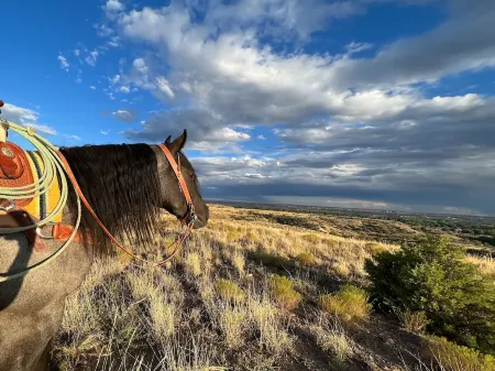 Lefty - Minutes from Pinon Hills Golf course, San Juan Quality Waters Отели в г. Сан-Хуан