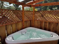 Charming Tiny House with Hot Tub and big fenced yard! Private location!