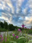Minutes Off Parks Hwy / Riverfront on 27 Acres / Willow Creek Inn