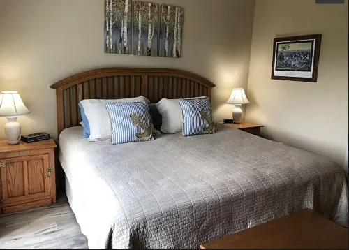 Cozy Getaway Near All the FUN! Harbor Springs/Petoskey