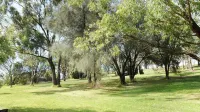 Adventures at Sue's Retreat ....... - Condos