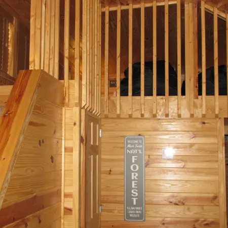 TLC-Tiny Cabin with loft located in park like setting.