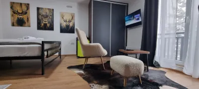 Pino Nero- Apartment Hotels near Dolina sportova