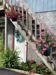 Charming and immaculate 1-bedroom Suite/Apartment in Elizabethton - 3-Star